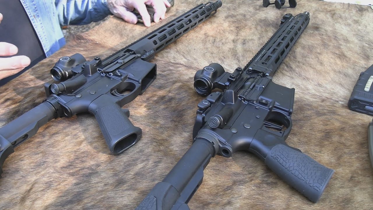 700-Dollar AR15 vs 2,000-Dollar AR15