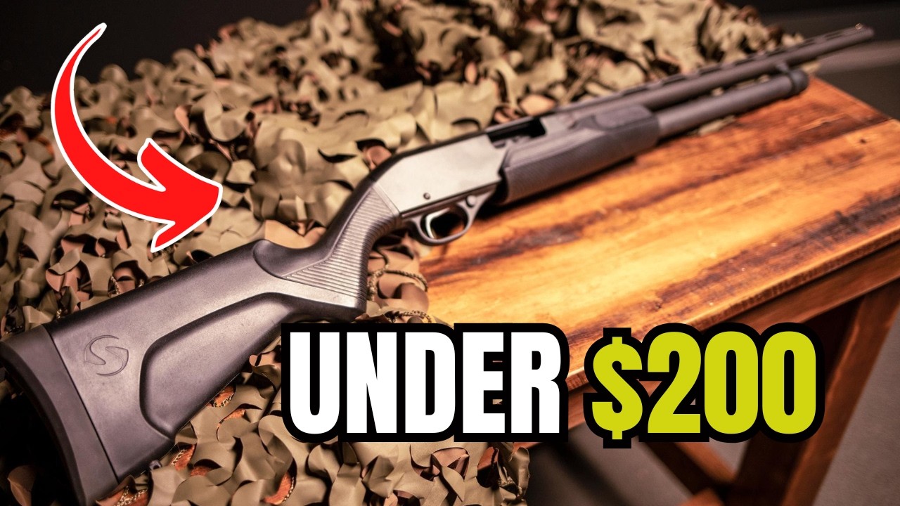 TOP 5 Best Affordable Guns Under 0 That Are Surprisingly AWESOME!