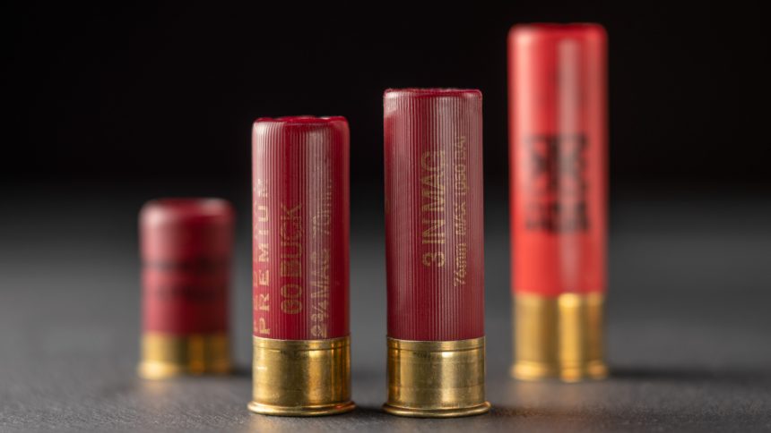 Shotguns: Out of Its Shell