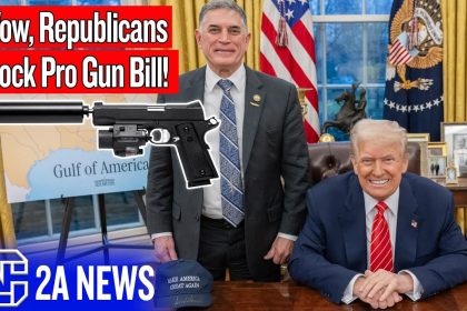 Wow, Republicans Are Blocking A Pro Gun Bill!
