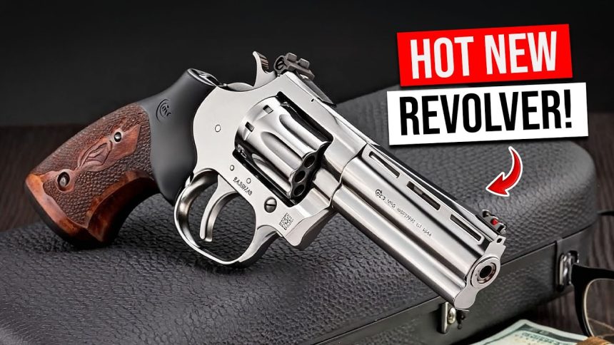 10 Most FEARED Micro Revolvers in the U.S.!