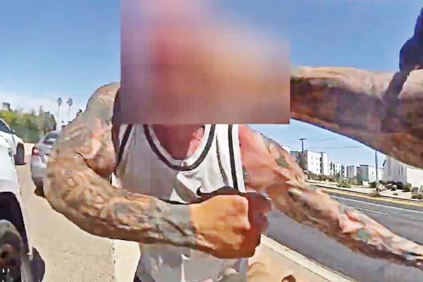 Enraged Man Berates and Fights Phoenix Cop After Traffic Stop