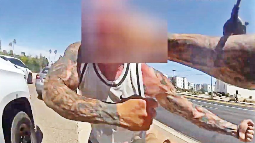 Enraged Man Berates and Fights Phoenix Cop After Traffic Stop