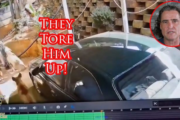 Burglar Wasn’t Counting On Protective Dogs To Meet Him