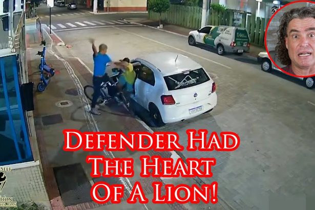 Defender Fights Armed Carjacker And Comes Out On Top