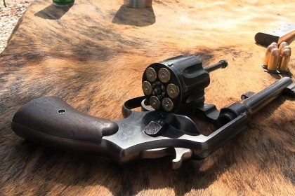 Would This be YOUR Choice for  a Go-To-War Revolver?