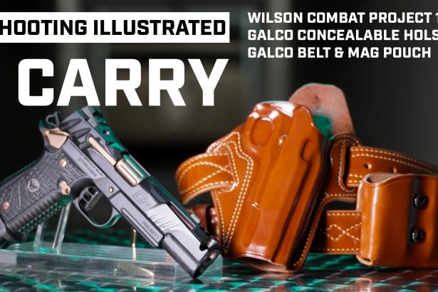 I Carry: Wilson Combat Division 77 Project 1 9mm Pistol in a Galco Holster