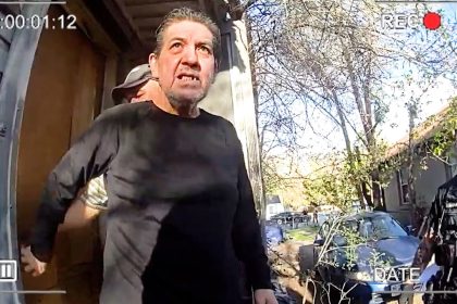 Hoarder Arrested After 175 Dogs Discovered