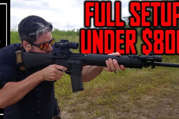 If I Had to Build a Cheap AR-15 to Rely On Right Now…