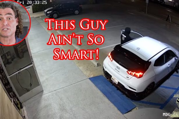 Car Thief Gets A Fat Lip From Angry Car Owner