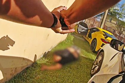 Corvette Driver Runs at Deputies With Loaded Gun and Gets Shot