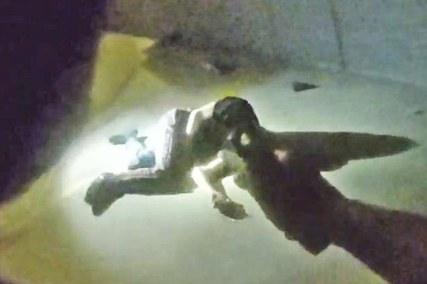 Orange County Deputies Shoot Man Fleeing While Carrying a Gun