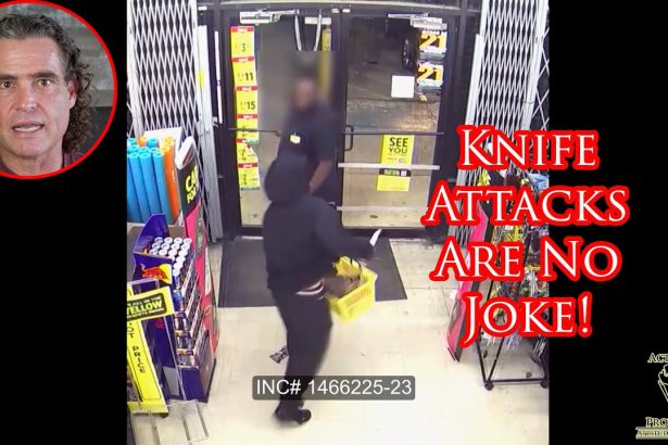 Houston Shoplifting Turns Into Aggravated Robbery In a Split Second