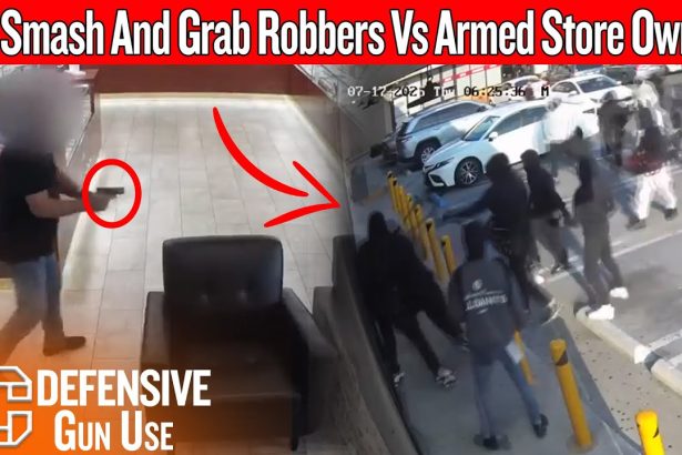 Caught On Camera: 20 Smash And Grab Robbers Vs Armed Store Owner In California