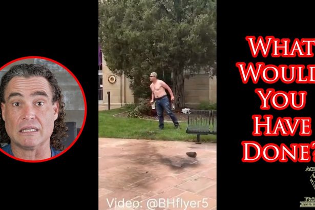 Colorado Molotov Attack Gives Serious Lessons For Self-Defenders