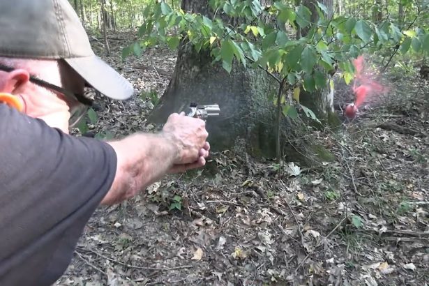 Colt King Cobra  22LR Woods Walk