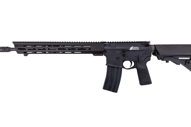 First Look: Franklin Armory OPS-16R Rifle And Upper