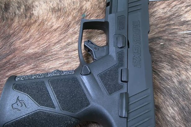Taurus GX2  9mm