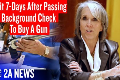 You Need A Gun Tonight But The Current Law Forces You To Wait A Week