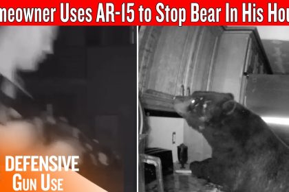 Armed Homeowner With AR-15 Defends Against Bear Breaking In At Night