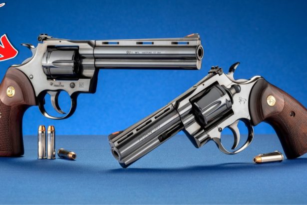 Top 9 Revolvers Every Smart Buyer Is Grabbing in 2025!