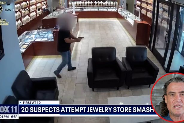 Was This Warning Shot Smart?