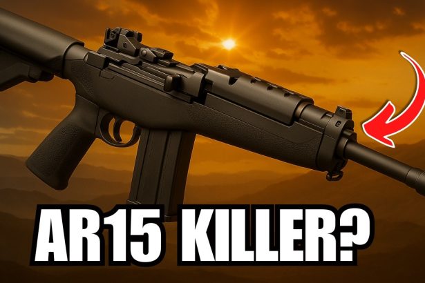 10 Reasons Why the Ruger Mini-14 SMASHES the AR15