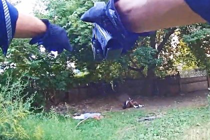 Rochester Police Officer Shoots Suspect Who Refused to Stop Pistol-Whipping a Man