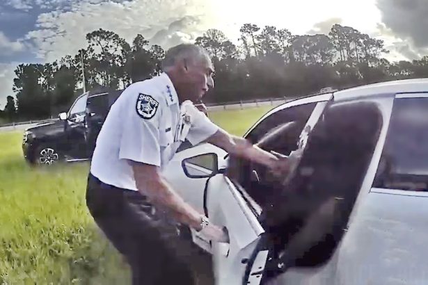 Sheriff Chitwood Stops Reckless Driver With PIT Maneuver