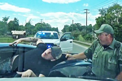 Reckless Driver Yanked Out of Car After Swerving at Deputy During Chase