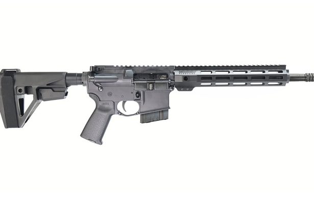 First Look: Bushmaster V-Radicator 22 ARC Pistol