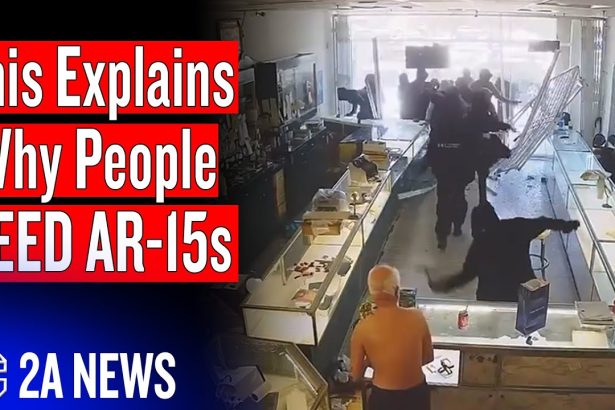 The One Video That Explains Why People Need AR-15s