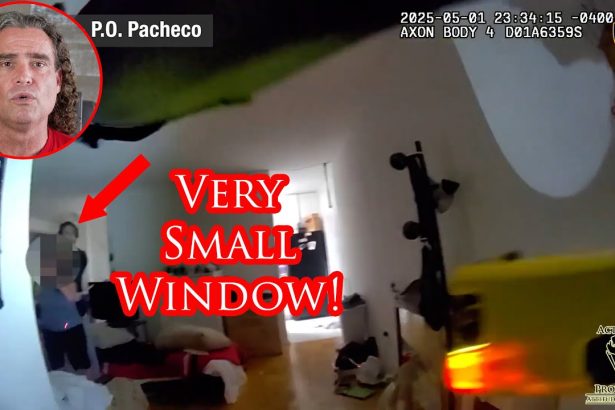 NYPD Officer Uses Fantastic Marksmanship to End Hostage Situation