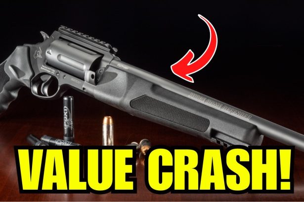 6 GUNs That CRASHED in Value from 2024 to 2025