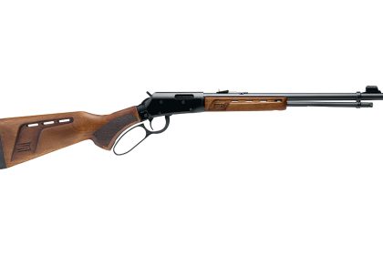 Back to the Basics: The .22 LR Lever-Action Rifle