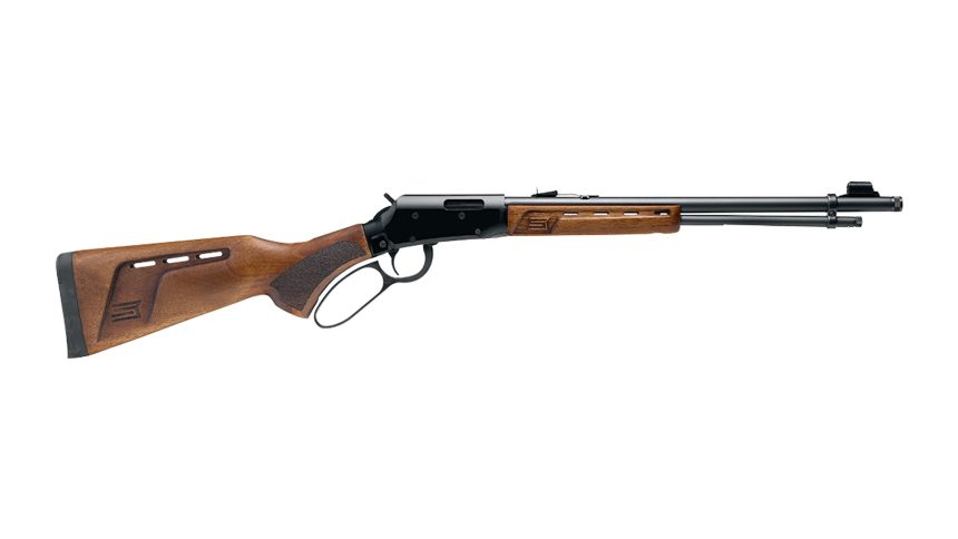 Back to the Basics: The .22 LR Lever-Action Rifle
