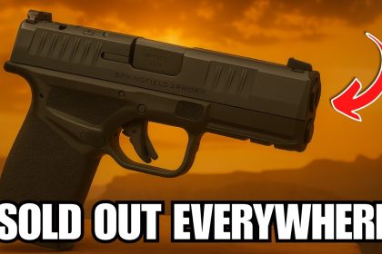 Sold Out Everywhere: The Guns Americans Are Rushing to Buy