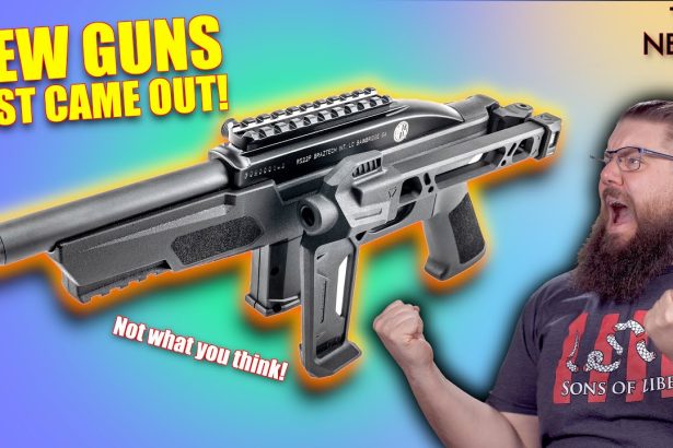OH WOW! A bunch of new guns just dropped!