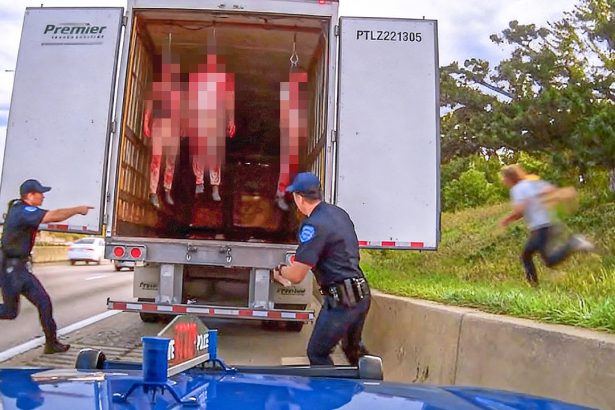 When Cops Make Disturbing Traffic Stop Discoveries..