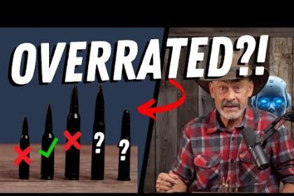 AI Calls These Cartridges OVERRATED!