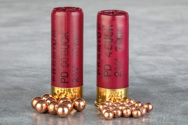 Shotguns: A Couple Bucks