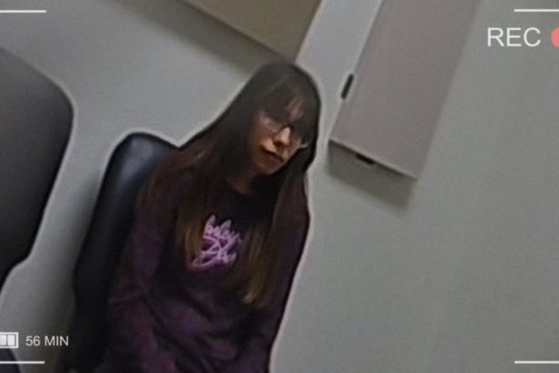 Mother Arrested After Dumping Her Infant in the Woods