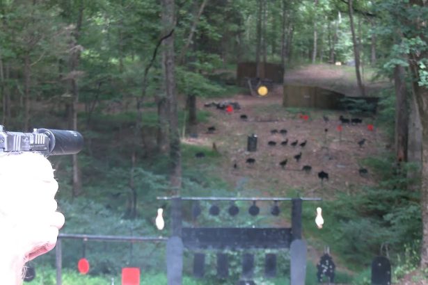 Springfield Echelon 4.0 C