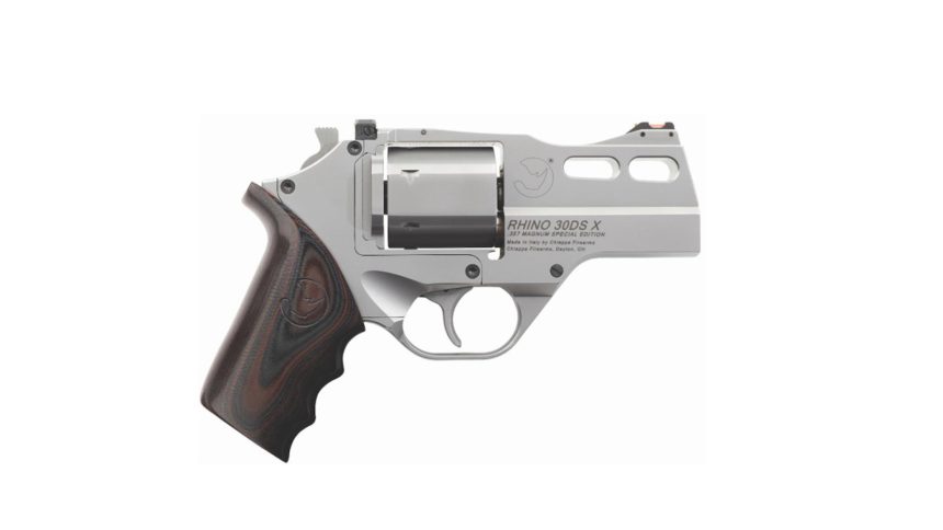 First Look: Stainless Steel Chiappa Rhino 30DS X