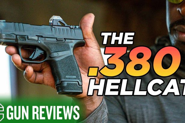 The Best New Concealed Carry .380?
