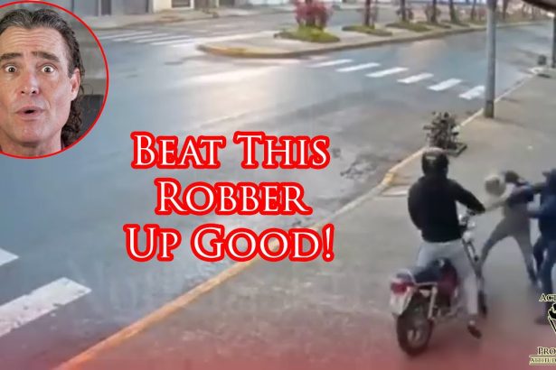 Amazing Defender Puts a Beating on Surprised Robber