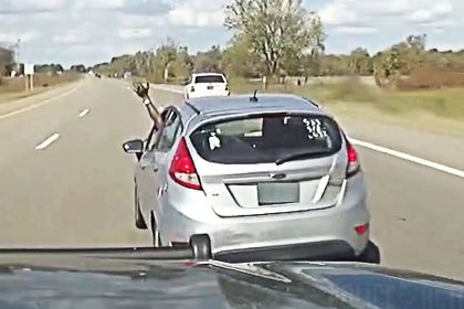 Police Tase Suspect After Dangerous Wrong Way Chase In Michigan