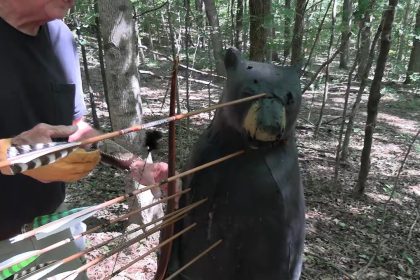 Are Pulleys and Wheels Necessary for Bear Hunting?