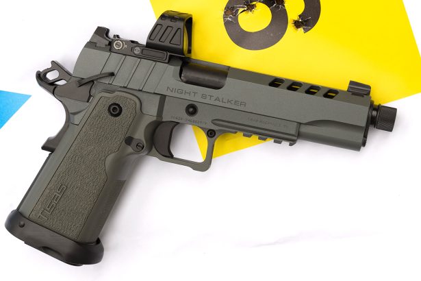 Review: Tisas Night Stalker DS