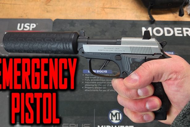 Backup Gun for Survival in 22LR: Beretta 20X Bobcat